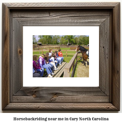 horseback riding near me in Cary, North Carolina